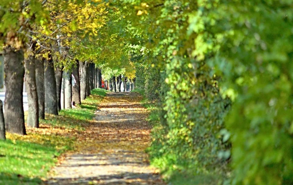 Бутиков Хотел History Haskovo Eksteriør billede